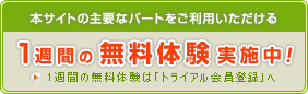 �����֤�̵���ȥ饤����»��桪