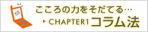 CHAPTER1 �����ˡ